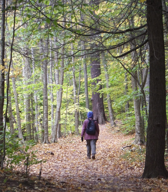 Norma walking on wooded trail with yellow leaves