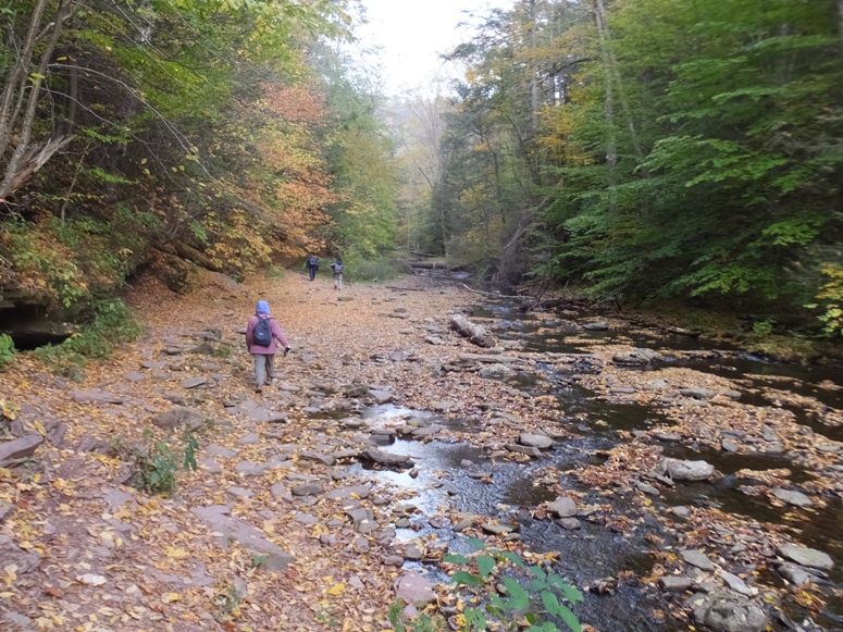 Norma on wide walking area near the creek