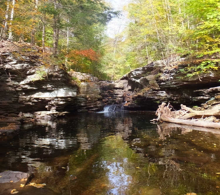 The falls seen from far back