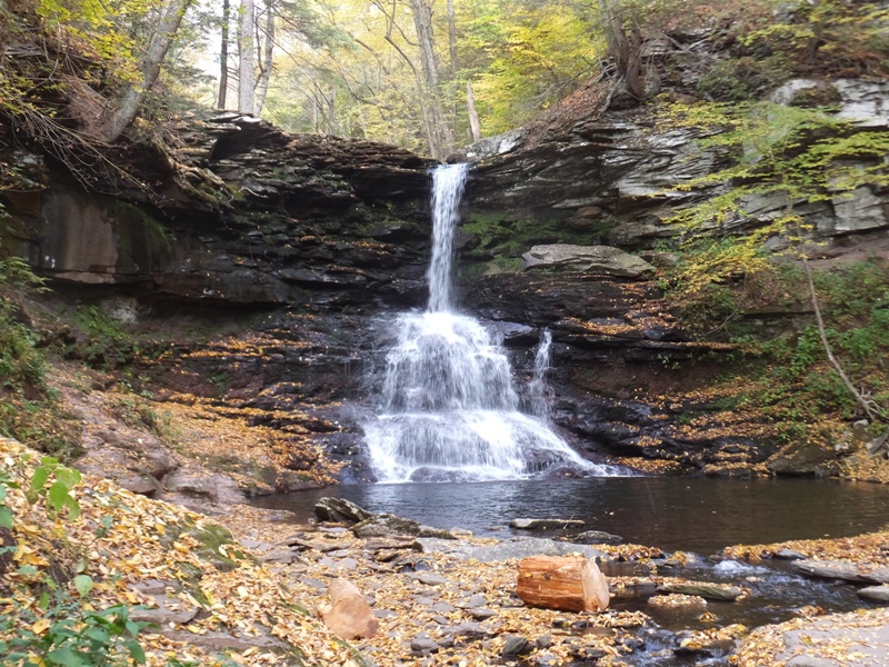 Frontal view of falls