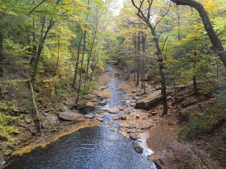 View from the top of the falls