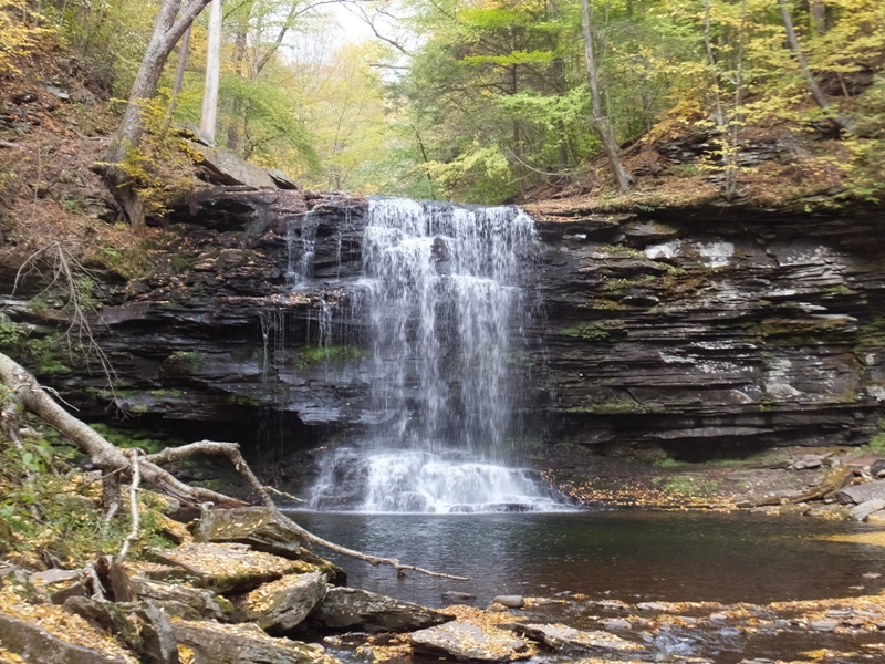 Frontal view of falls