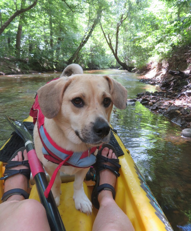 Daphne on the kayak