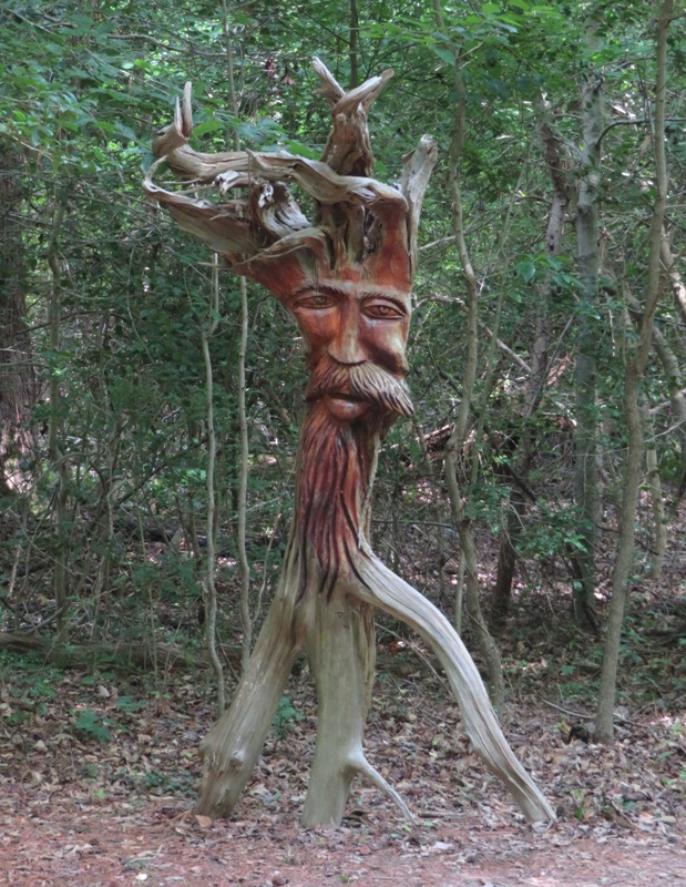 Bearded face carved into tree