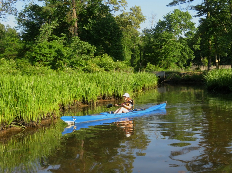 Norma kayaking with green background