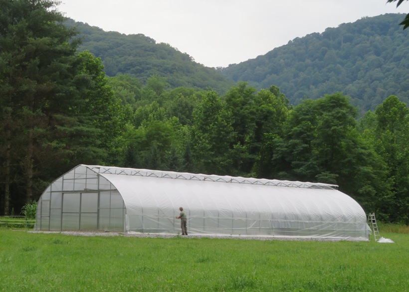 Big greenhouse