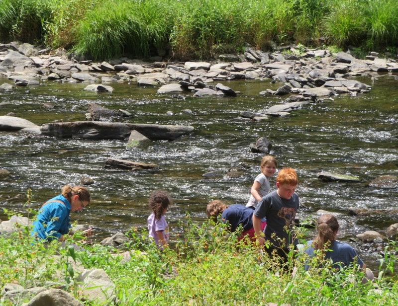 Norma and the kids look for things in Pine Creek