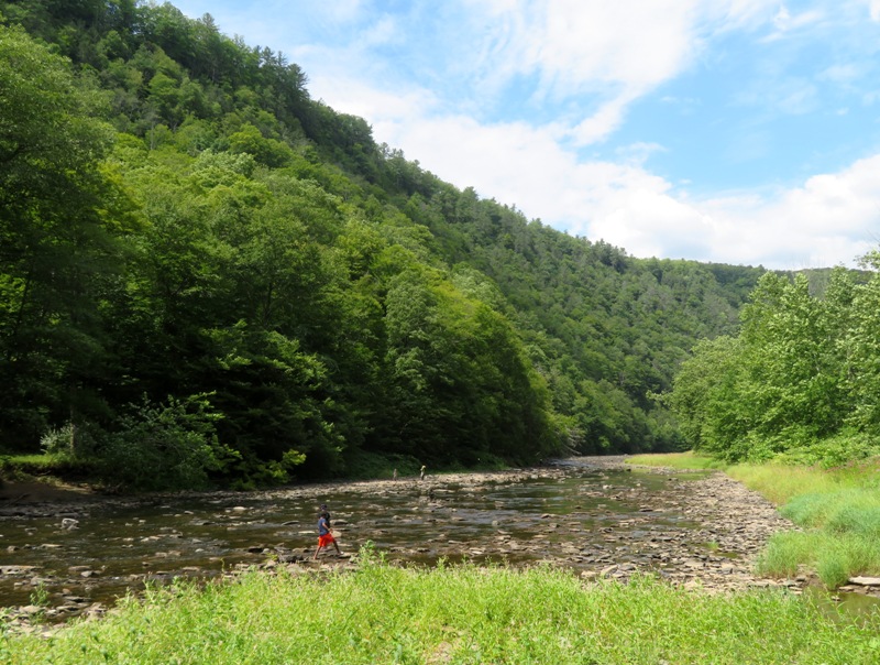 Dramatic view of Pine Creek Gorge