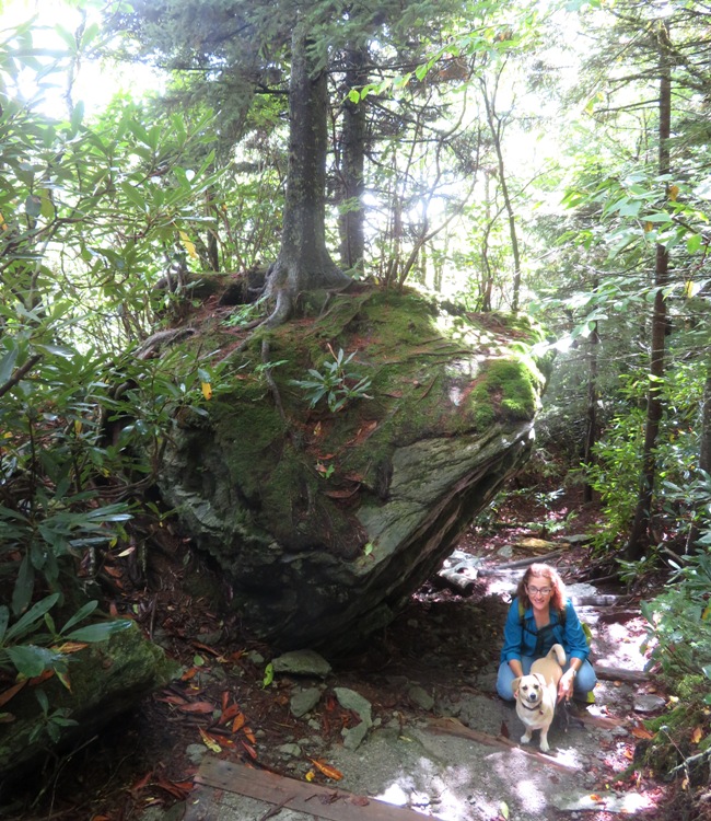 Norma and Daphne next to a big rock with a tree growing on it