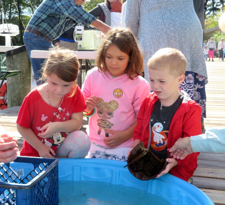 Kids looking at crustaceans