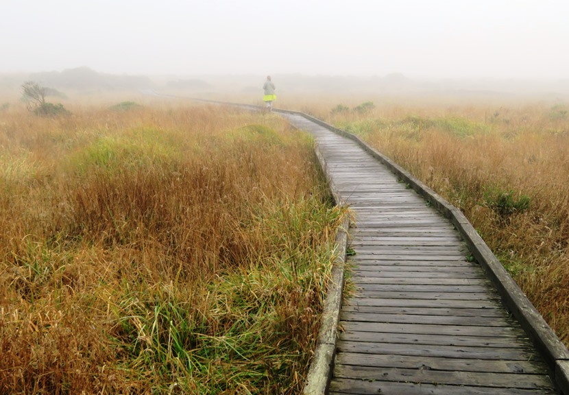 Foggy boardwalk