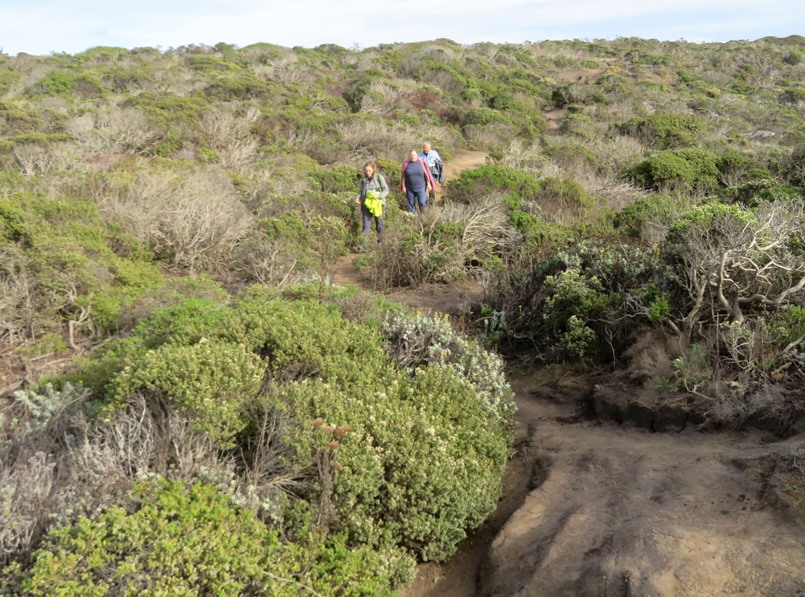 Walking downhill