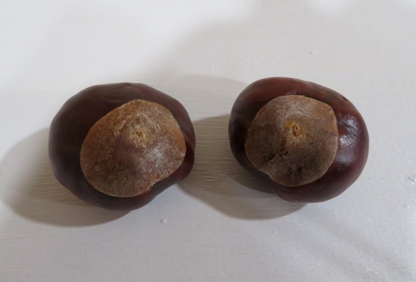 Two chestnuts