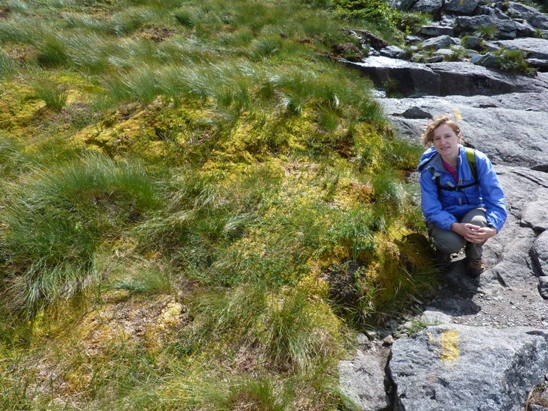 Norma next to grasses in the Arctic Alpine Zone