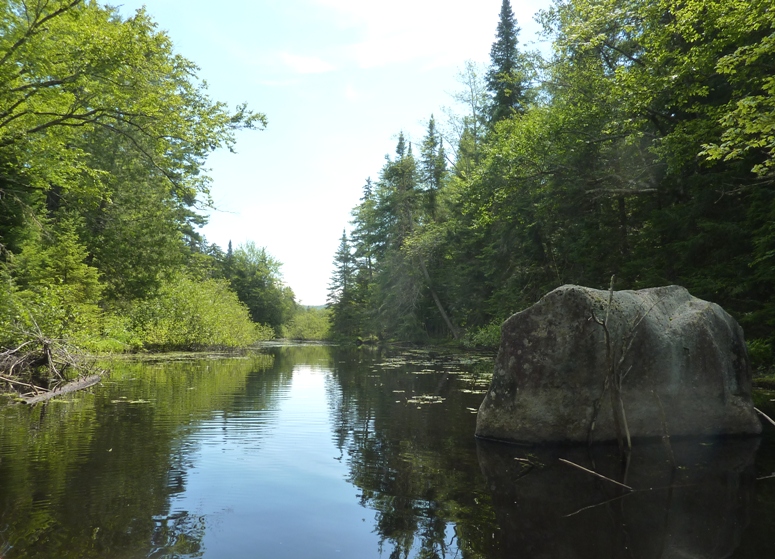 Scenic view of calm creek