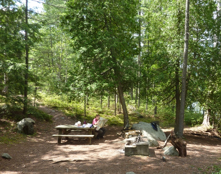 Norma at picnic table in the woods