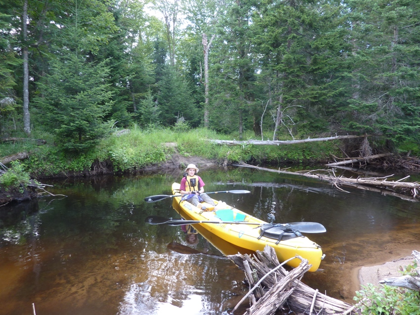 Norma in kayak near tree downfalls