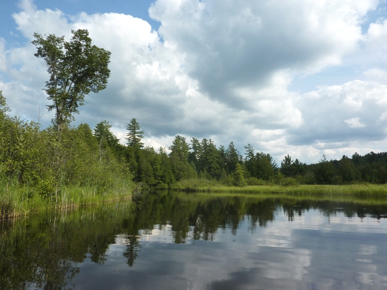 Serene water view