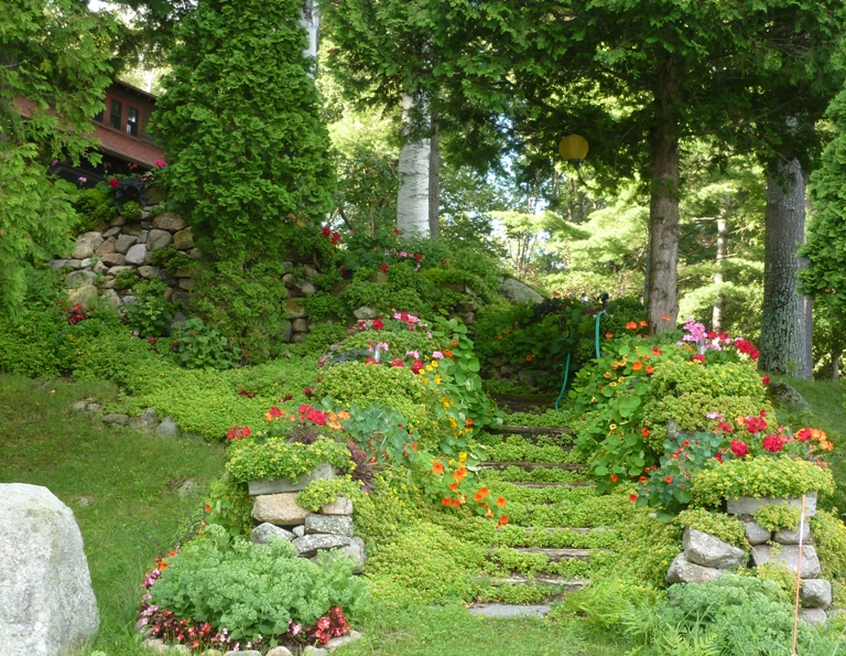 Landscaping of greenery and stone