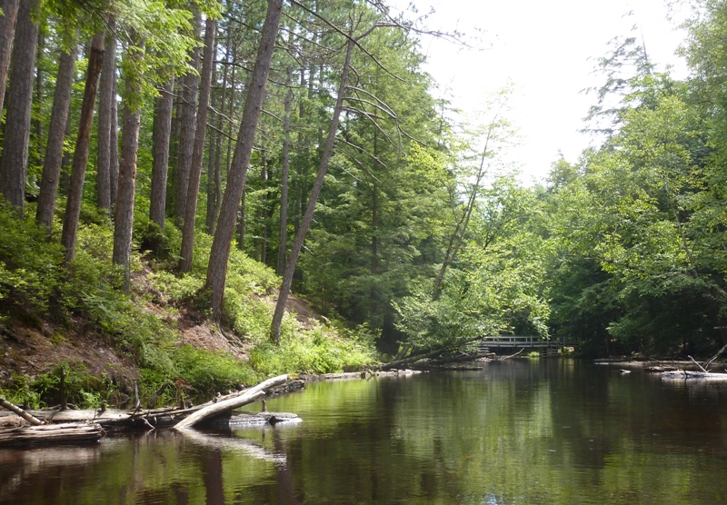 Fish Creek with a foot bridge ahead