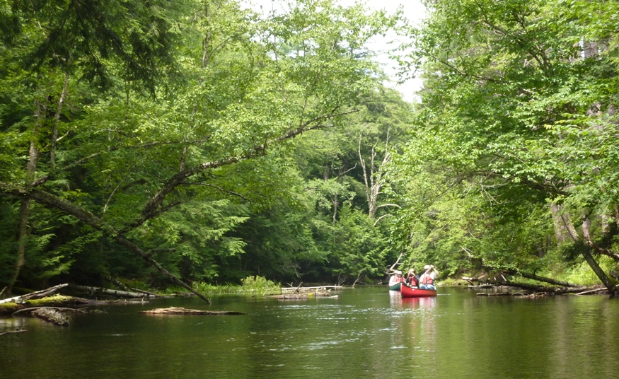 Looking back at folks in canoes