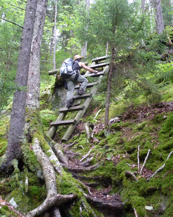 Me climbing a ladder