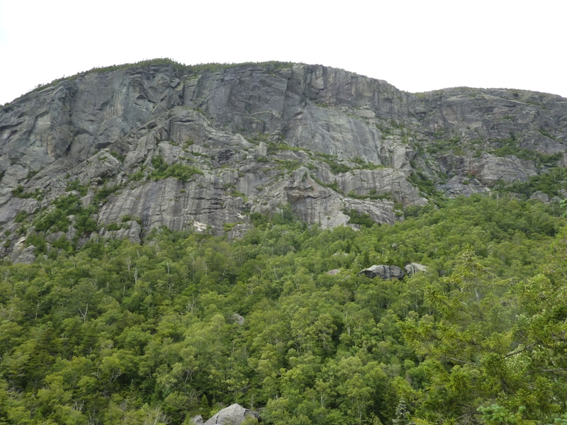 Steep and rocky Wallface Cliff with trees below