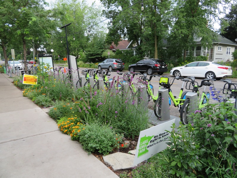 Flowers, bicycle share, and social awareness signs