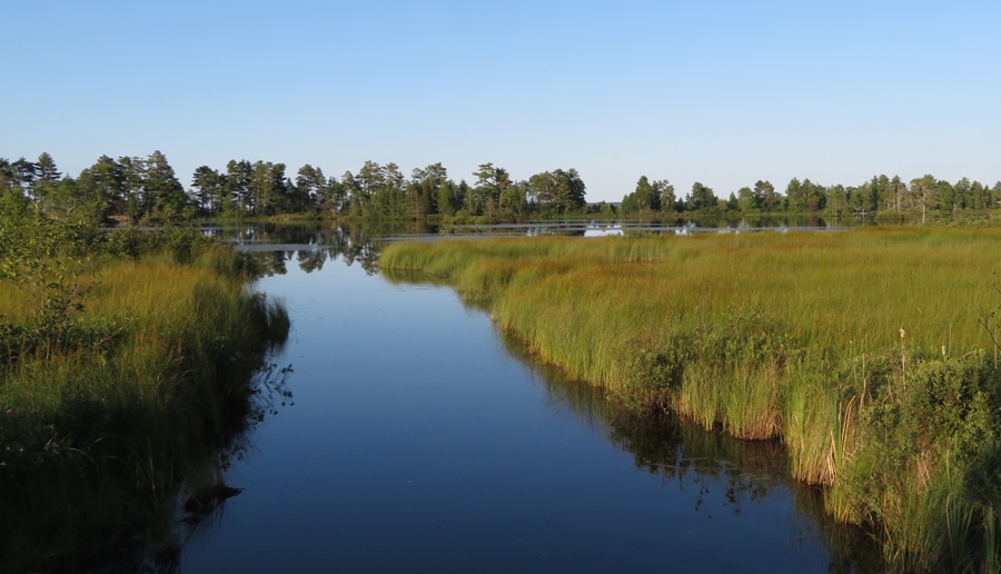 Peaceful, grass-lined waterway