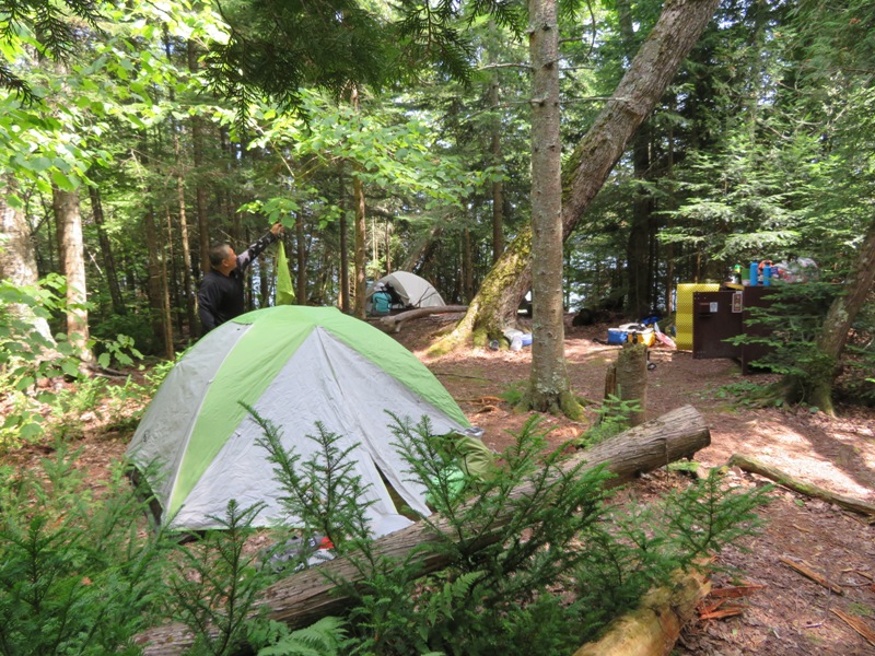 Tents set up under trees