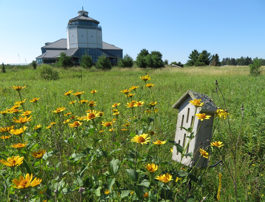 Butterfly house, yellow flowers, and Visitor Center