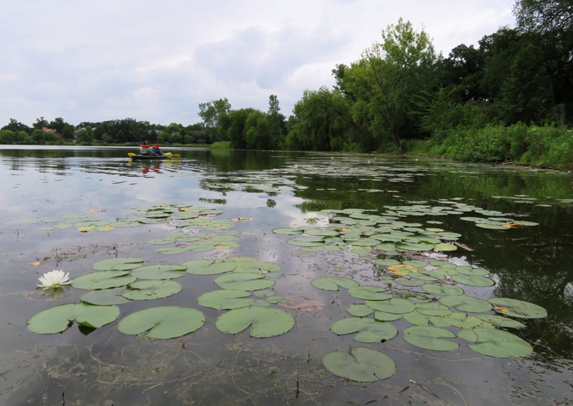 Steve and Norma kayaking in the Lake of the Isles