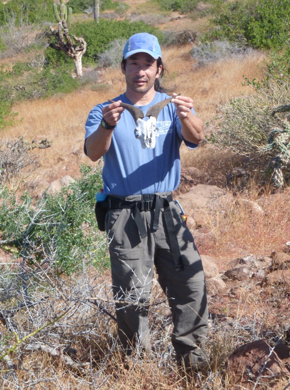 Me holding a goat skull