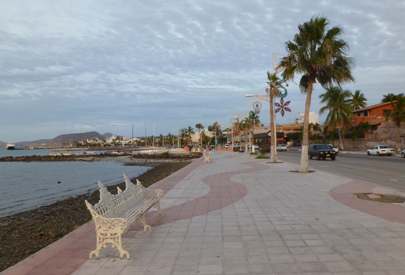 Walkway with palm trees