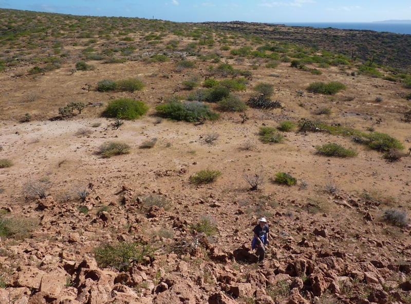 Norma at bottom of hill