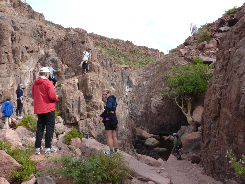 Group around oasis