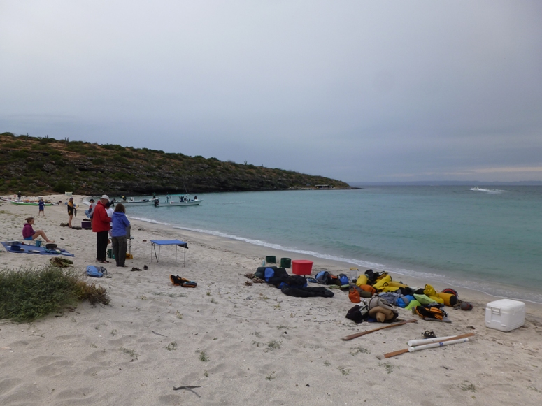 The beach with gear and people scattered throughout