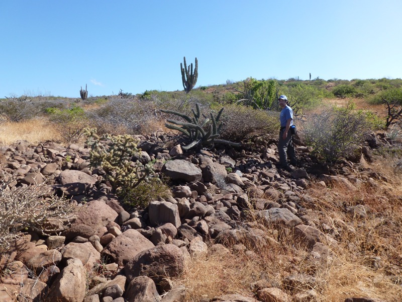 Me walking on a rocky ridgeline with cacti