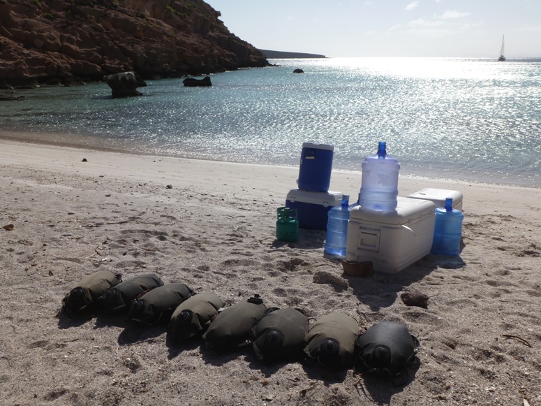 Water bladders on beach