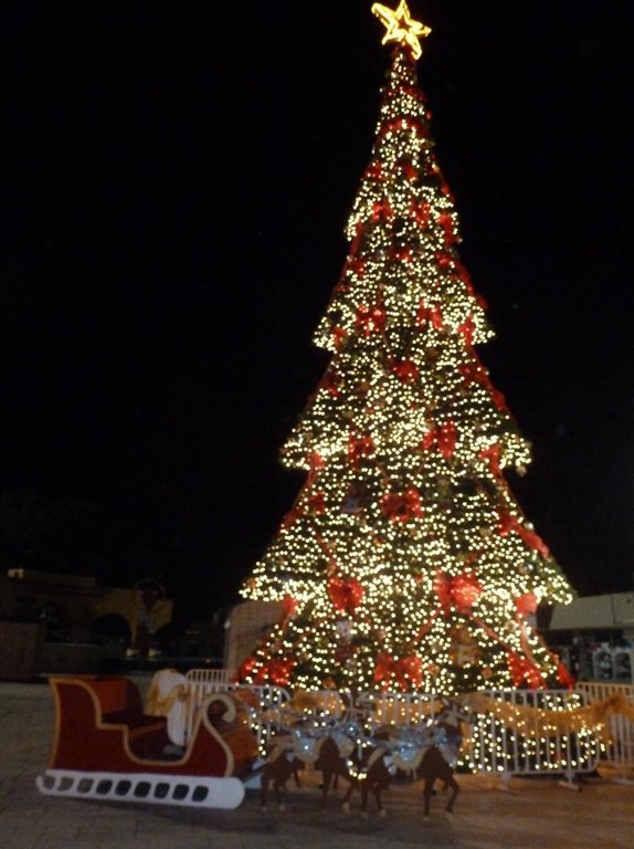 Lit up Christmas tree