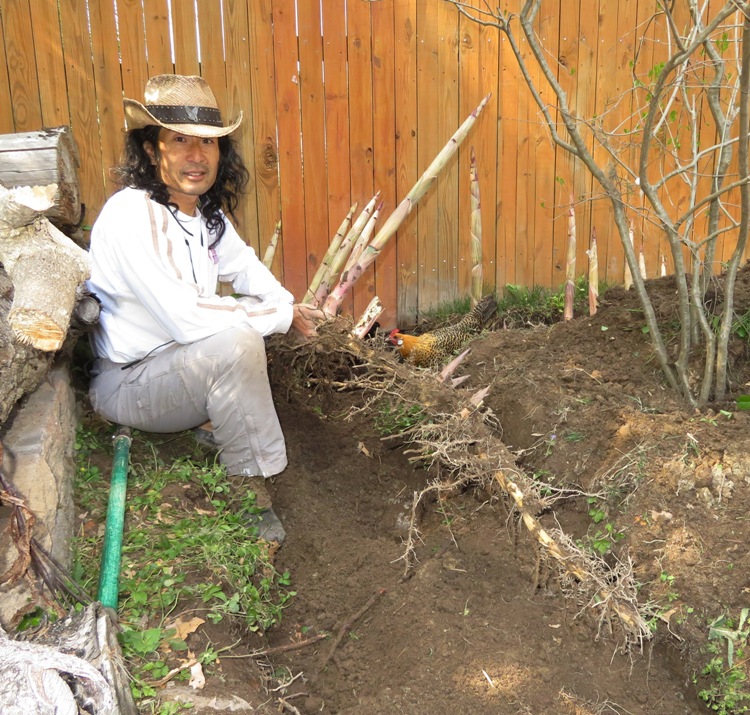 Me holding bamboo rhizomes and shoots