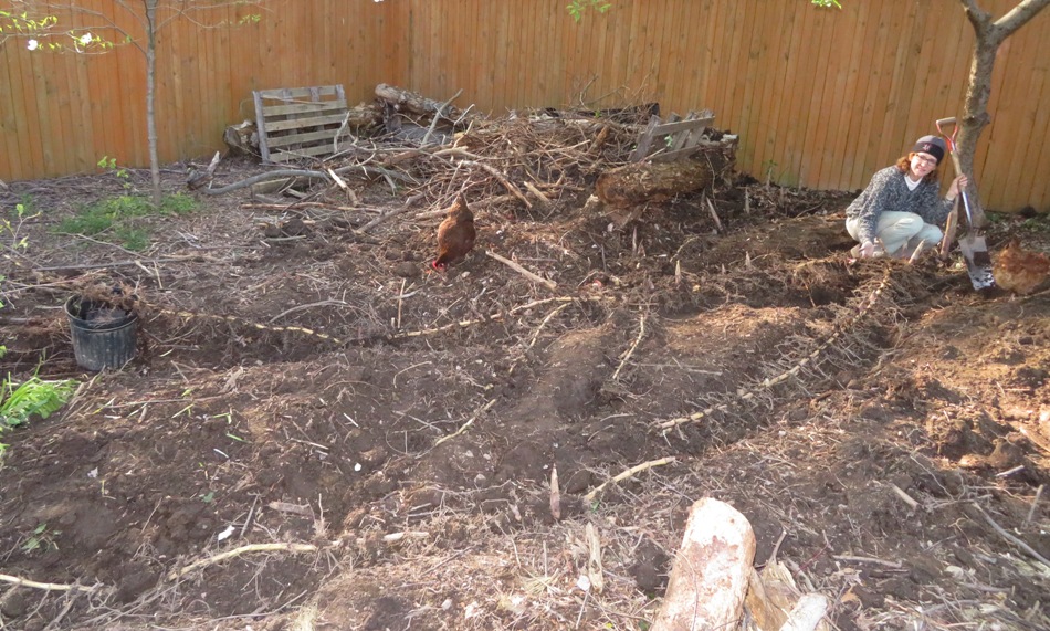 Norma and chicken with network of bamboo rhizomes