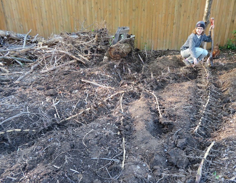 Norma with bamboo rhizomes and shoots