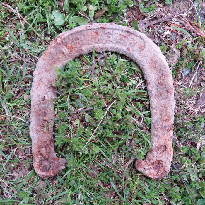 Horseshoe