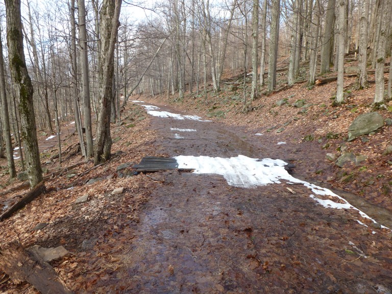 Mostly muddy trail