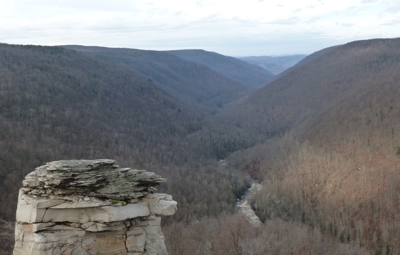 View from Lindy Point