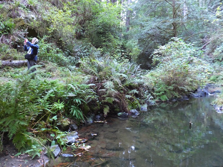 Mom, ferns, and water