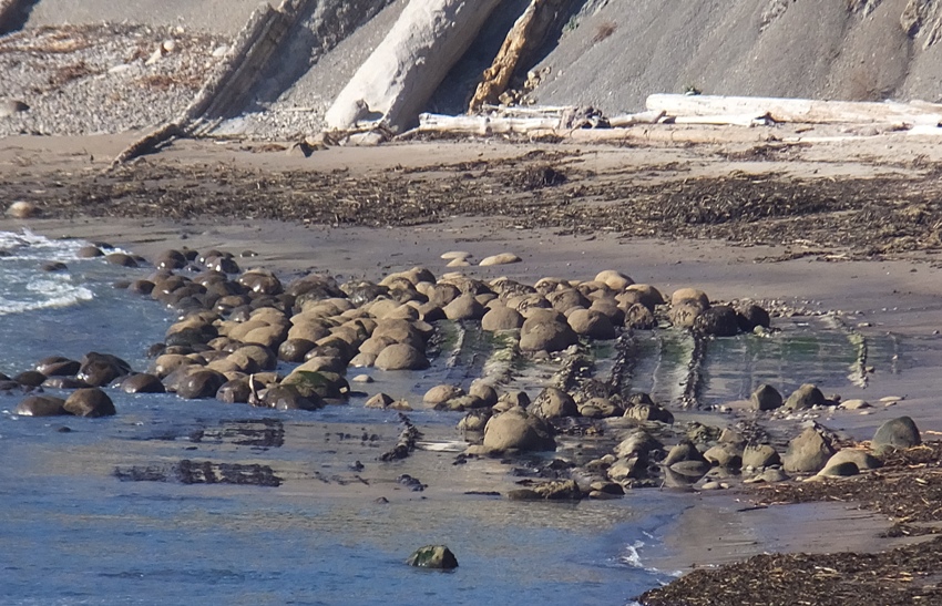 Round rocks at Bowling Ball Beach