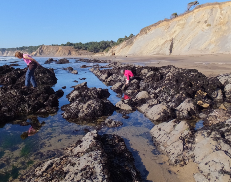 Norma and Mom tidepooling