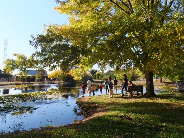 Big pond with people standing on the shore